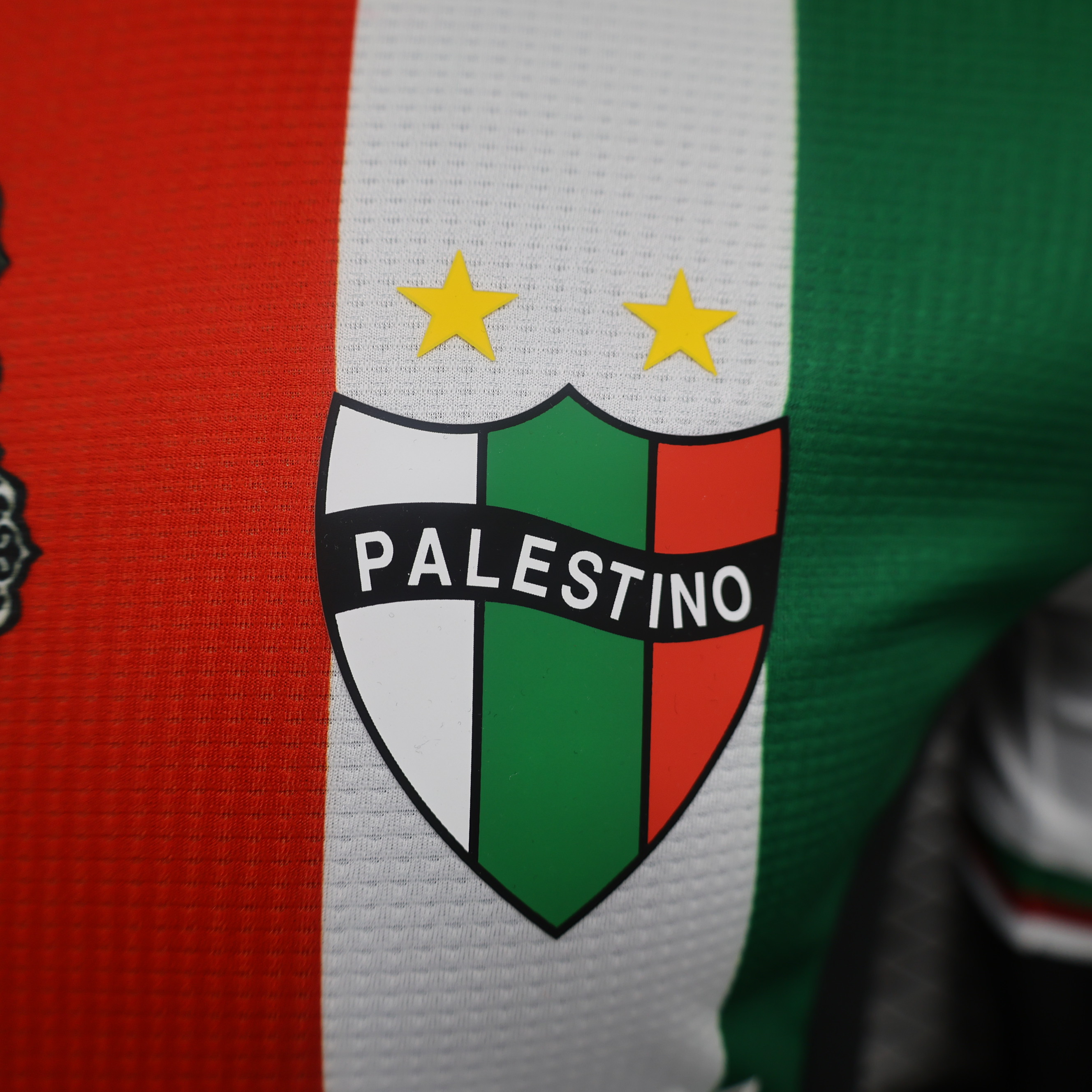 Club Deportivo Palestino 2024 Home Jersey - Player Version - Unitedfutballjersey
