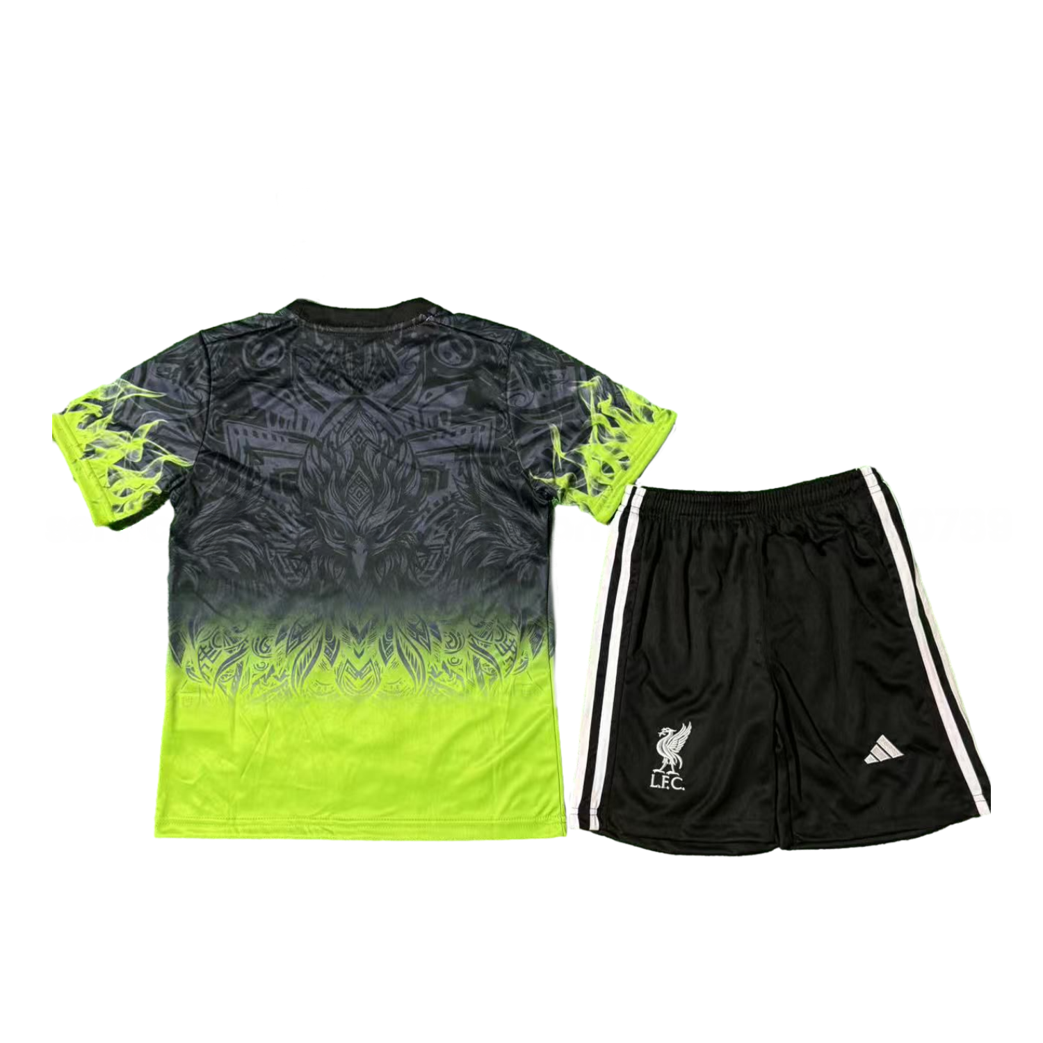 Liver.pool 25-26 Green Liver.pool Bird Black Special Kids Kit - Unitedfutballjersey
