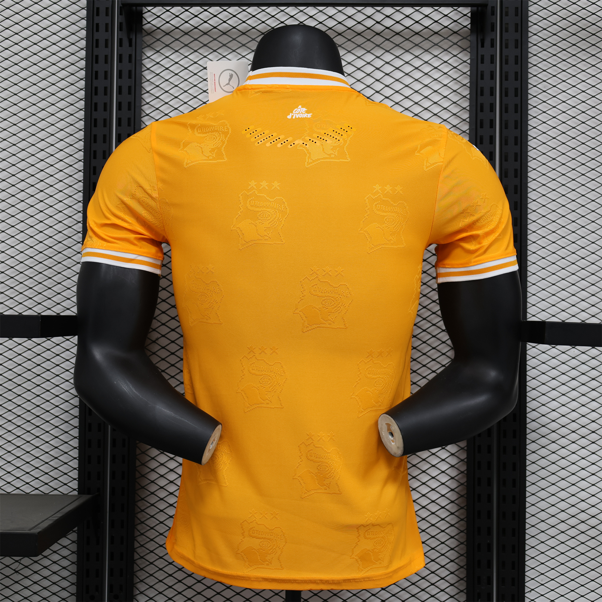 Ivory Coast 2024 Orange Elephant Special Edition Jersey - Player Version - Unitedfutballjersey