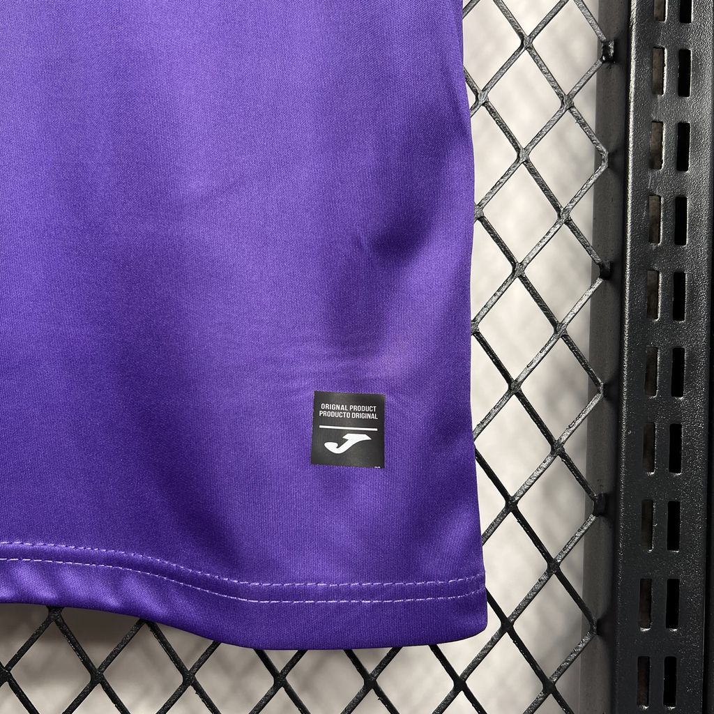 R.S.C. Anderlecht 24-25 Home Stadium Jersey - Fans Version - Unitedfutballjersey