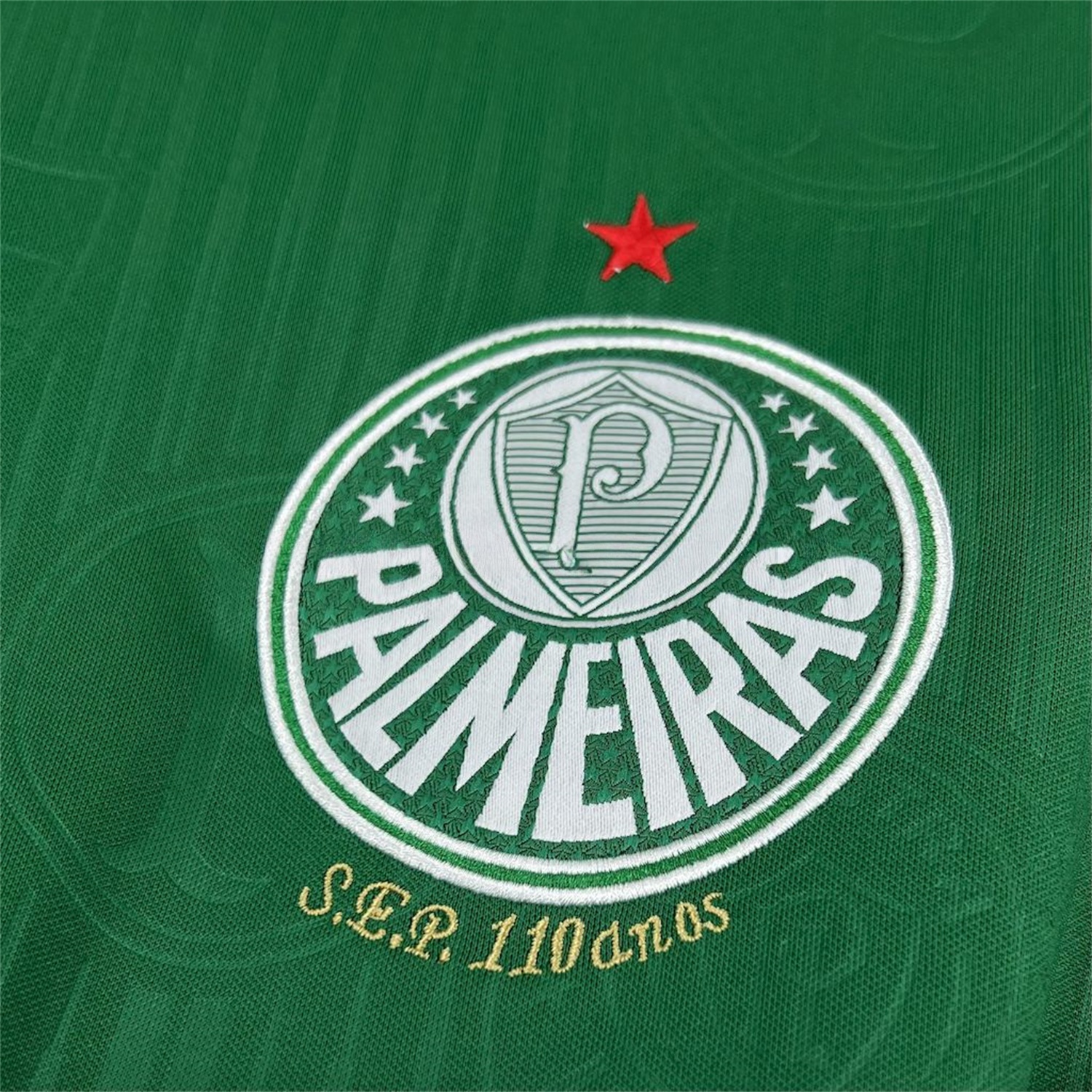 Palmeiras 24-25 X STUSSY Special Edition Jersey - Fans Version - Unitedfutballjersey