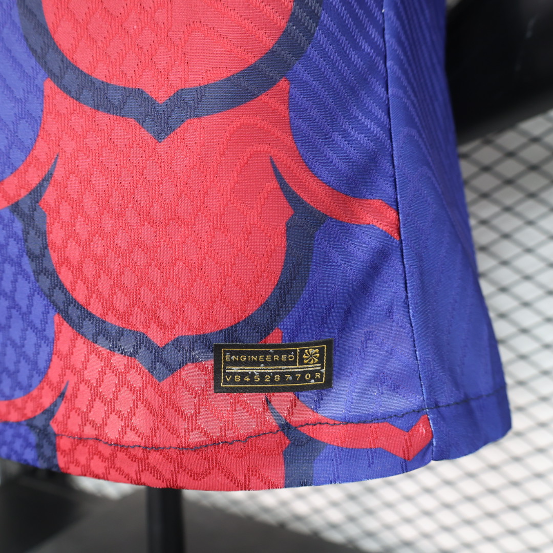 B.A.R.S.A 23-24 Pre-match Jersey - Player Version - Unitedfutballjersey