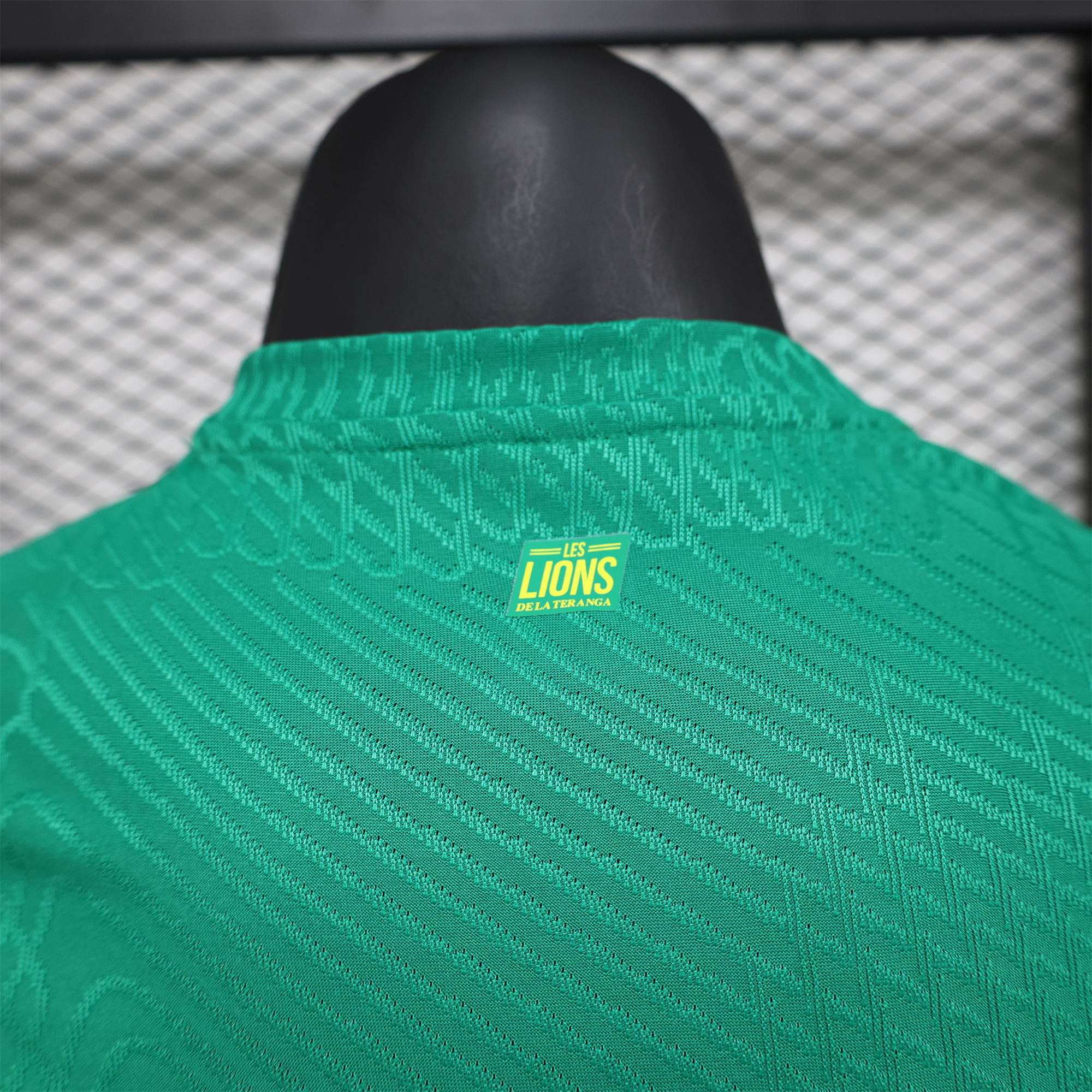 Senegal 24-25 Away Green Jersey - Player Version - Unitedfutballjersey