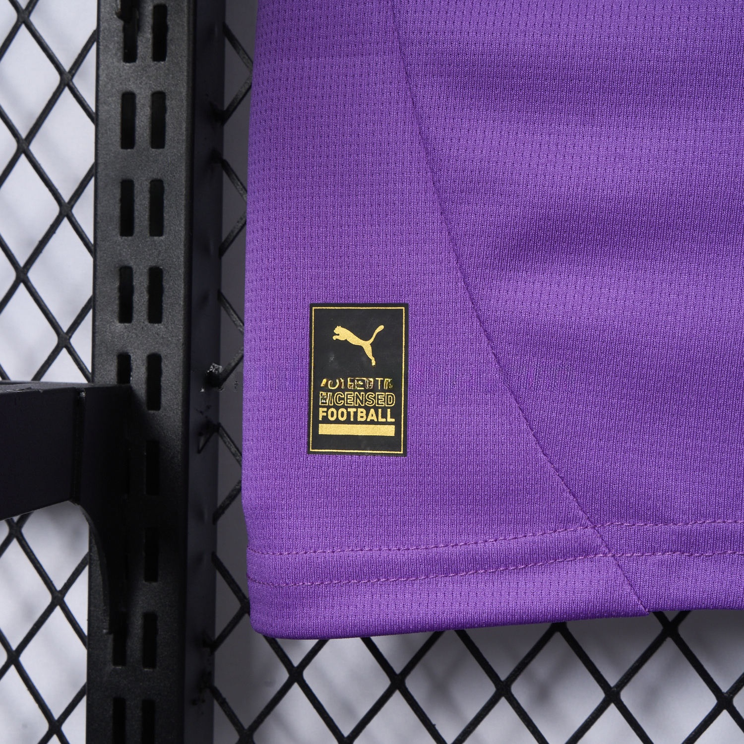 Dortmund 24-25 Purple Goalkeeper Special Edition Jersey - Fans Version - Unitedfutballjersey