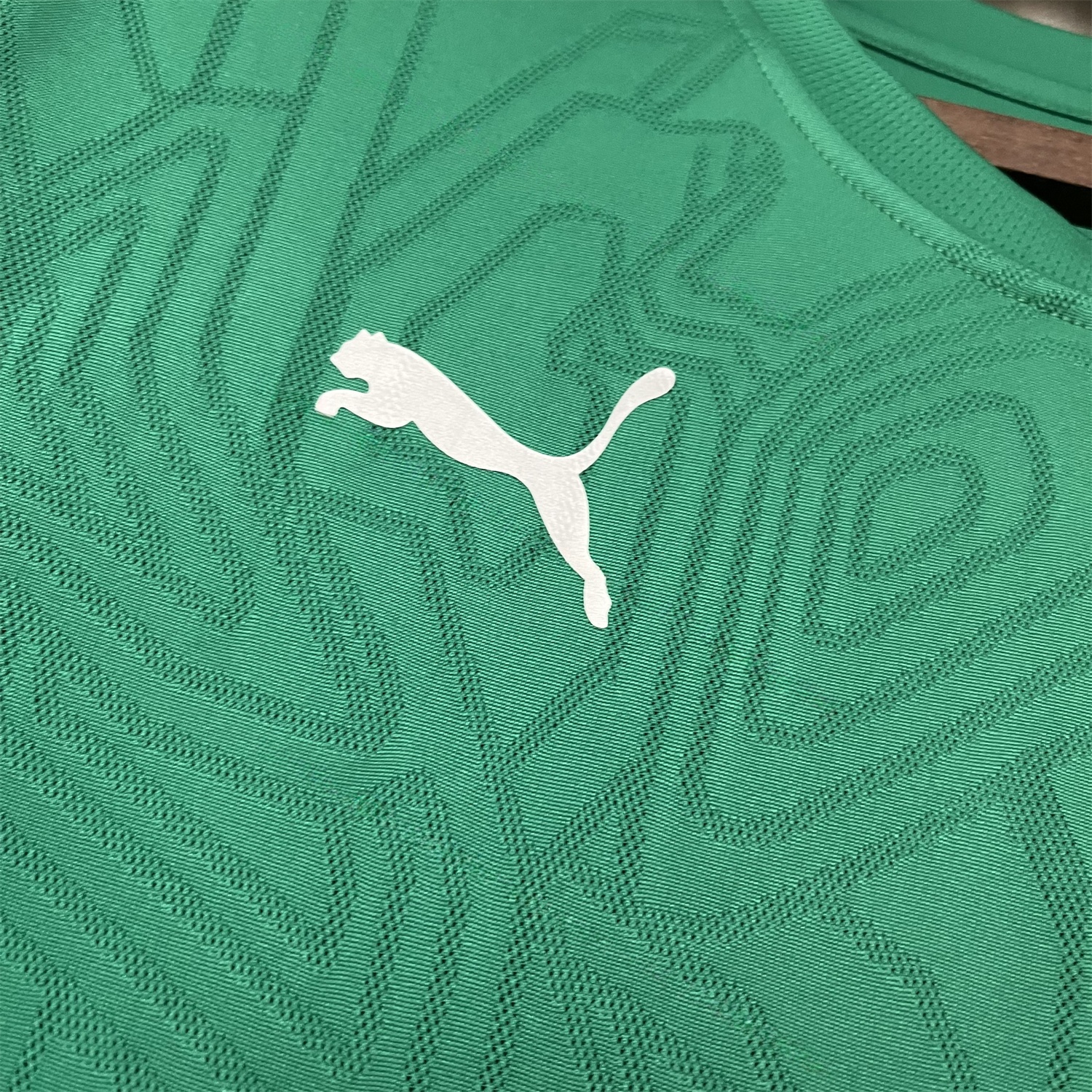 Bahia 25-26 Green Training Jersey - Fans Version - Unitedfutballjersey