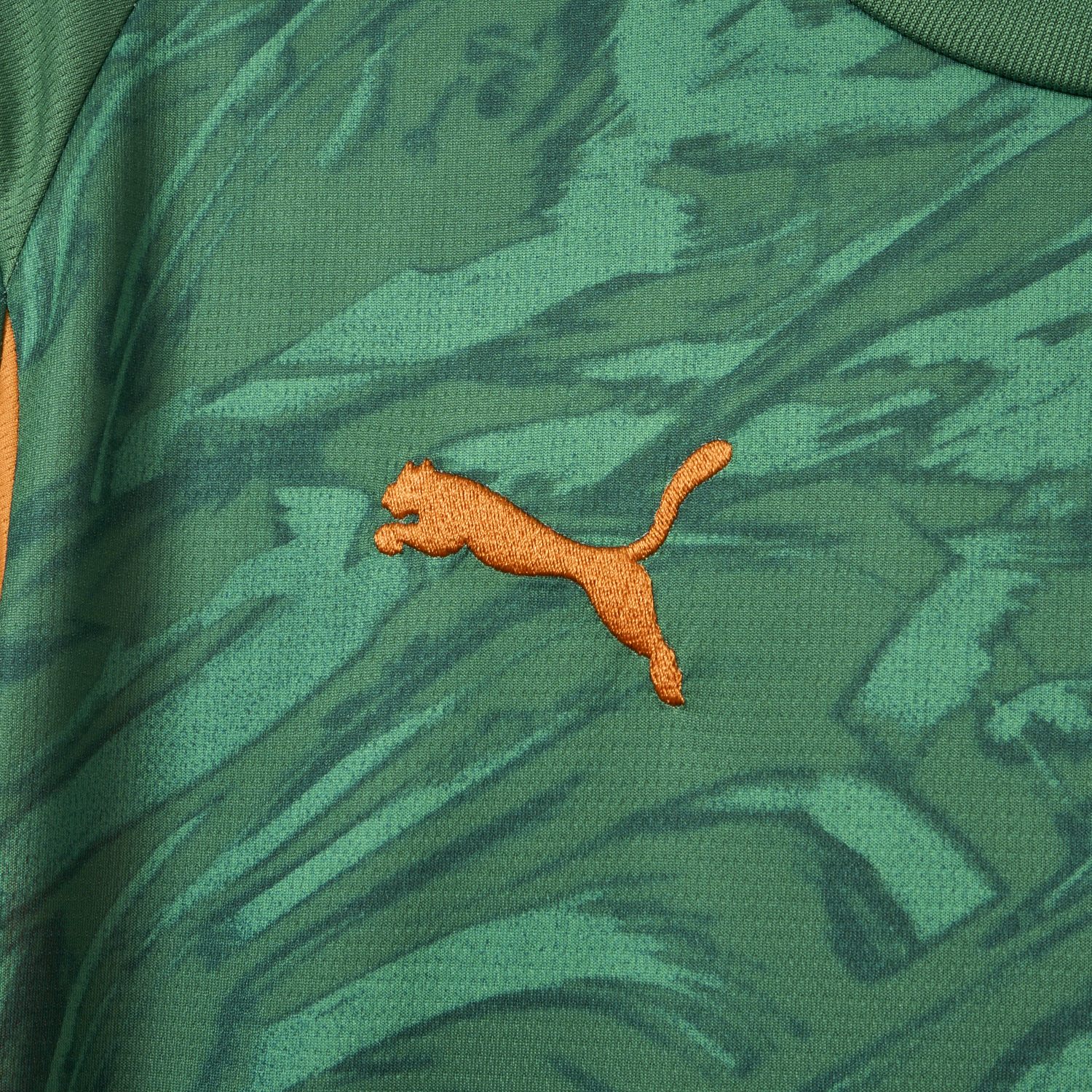 Dortmund 25-26 Green Goalkeeper Unsponsored Jersey - Fans Version - Unitedfutballjersey