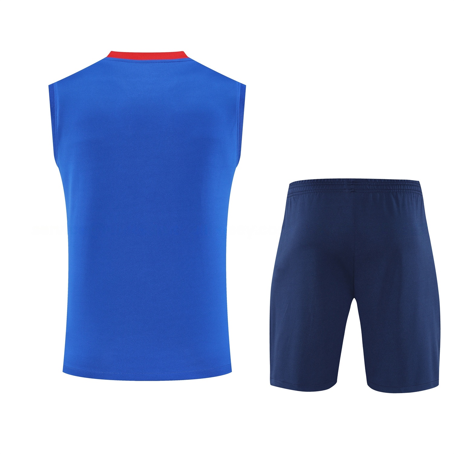 Paris Saint-Germain PSG 25-26 Vest Training Set - Red And Blue Lines Vest & Blue Shorts - Unitedfutballjersey