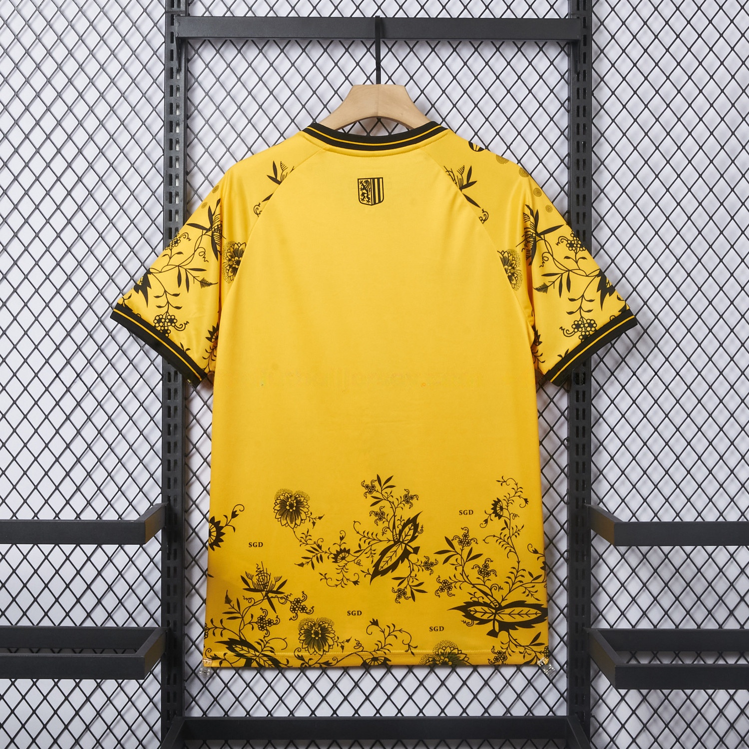 Dynamo Dresden 25-26 HATE RACISM Special Jersey - Fans Version - Unitedfutballjersey