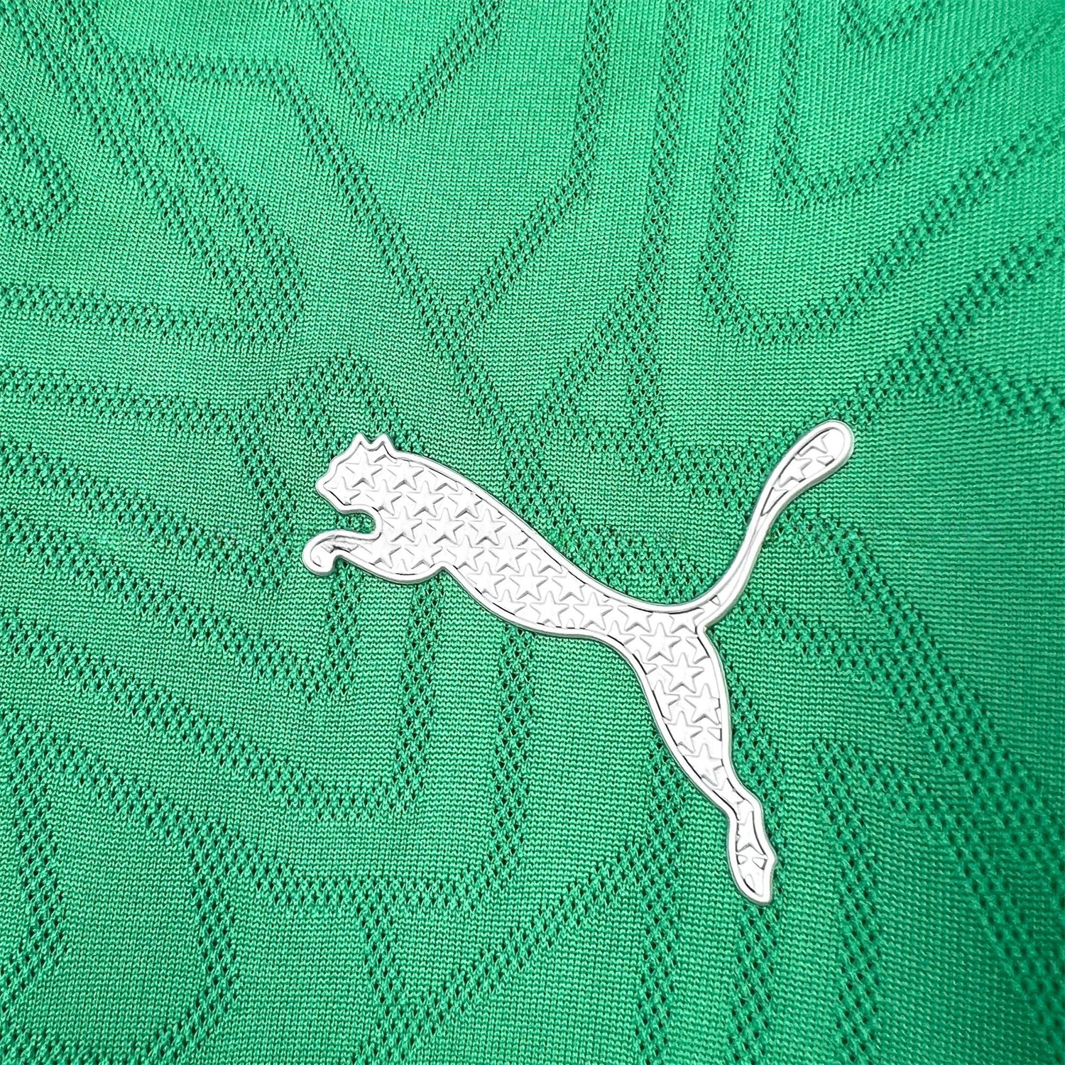 Palmeiras 25-26 Green Training Jersey - Fans Version - Unitedfutballjersey