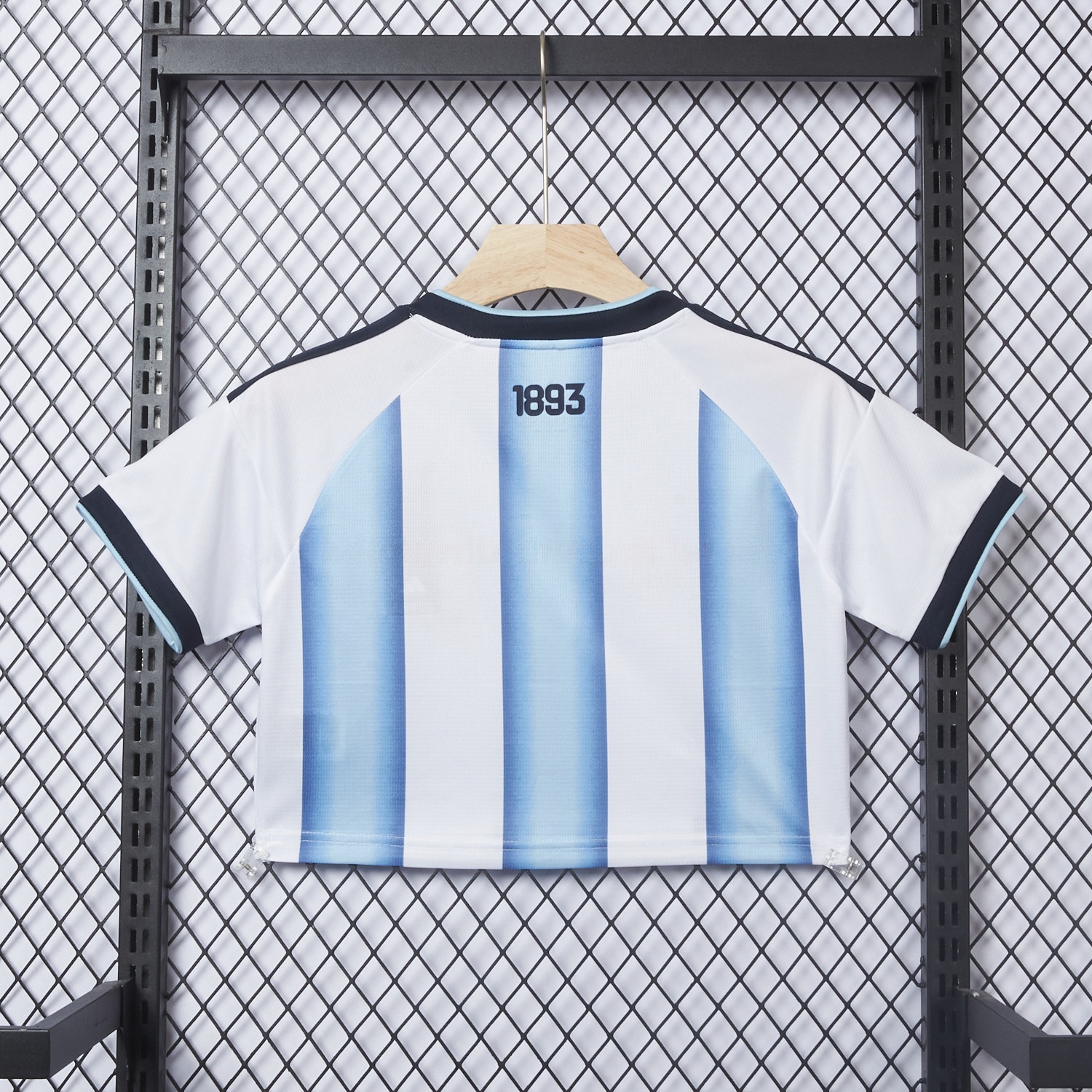 Women's Argentina 2026 Home Cropped Jersey - Unitedfutballjersey